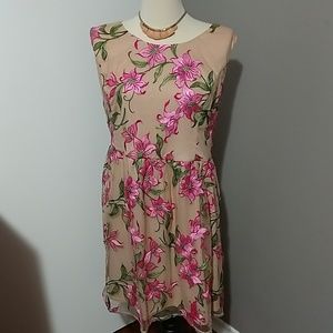 Lace & Mesh (Modcloth) embroidered fit & flare 4x